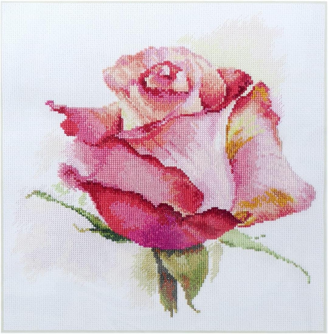 Tender Rose Cross-Stitch kit on Aida 16 Count Canvas. Red Rose. Cross Stitch kit by Alisa 2-39