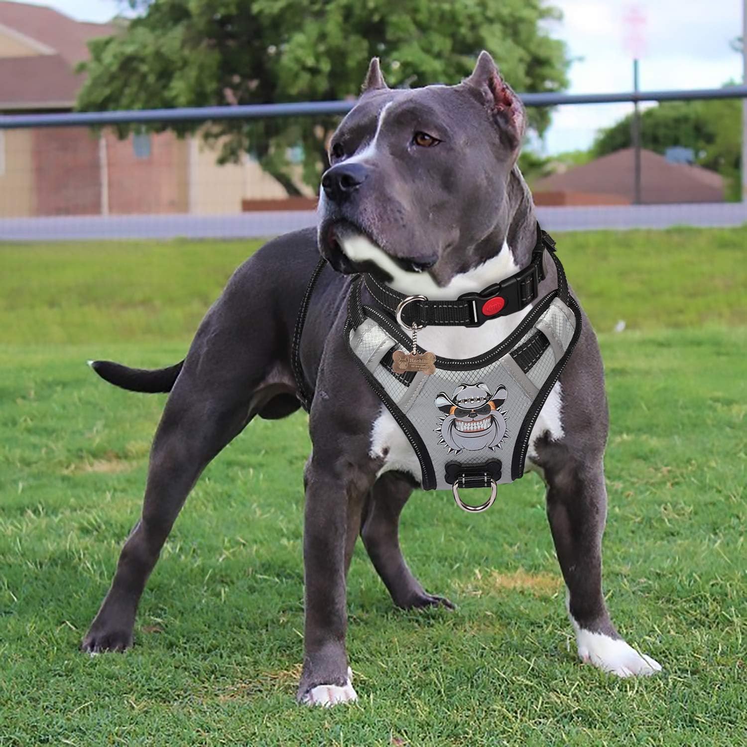 BABYLTRL No Pull Dog Harness,Adjustable No Choke Pet Vest Harness with Leash & Collar,Soft Padded Dog Harness with Easy Control Handle…