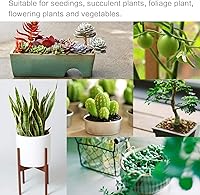 Vista 4 de Bombillas LED inteligentes de crecimiento para luz de abrazadera de cuello de cisne, regulable, atenuación de modo solar, temporizador