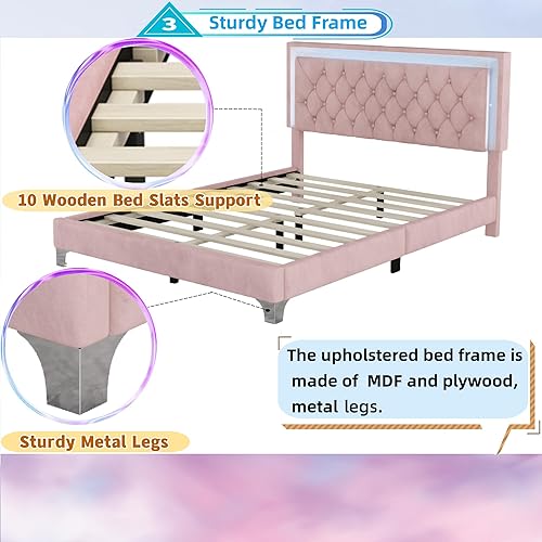 Miniatura 6 de Base de cama tapizada tamaño Queen con luces LED, cama moderna de plataforma de terciopelo de madera con cabecera capitoné con botones, rosa