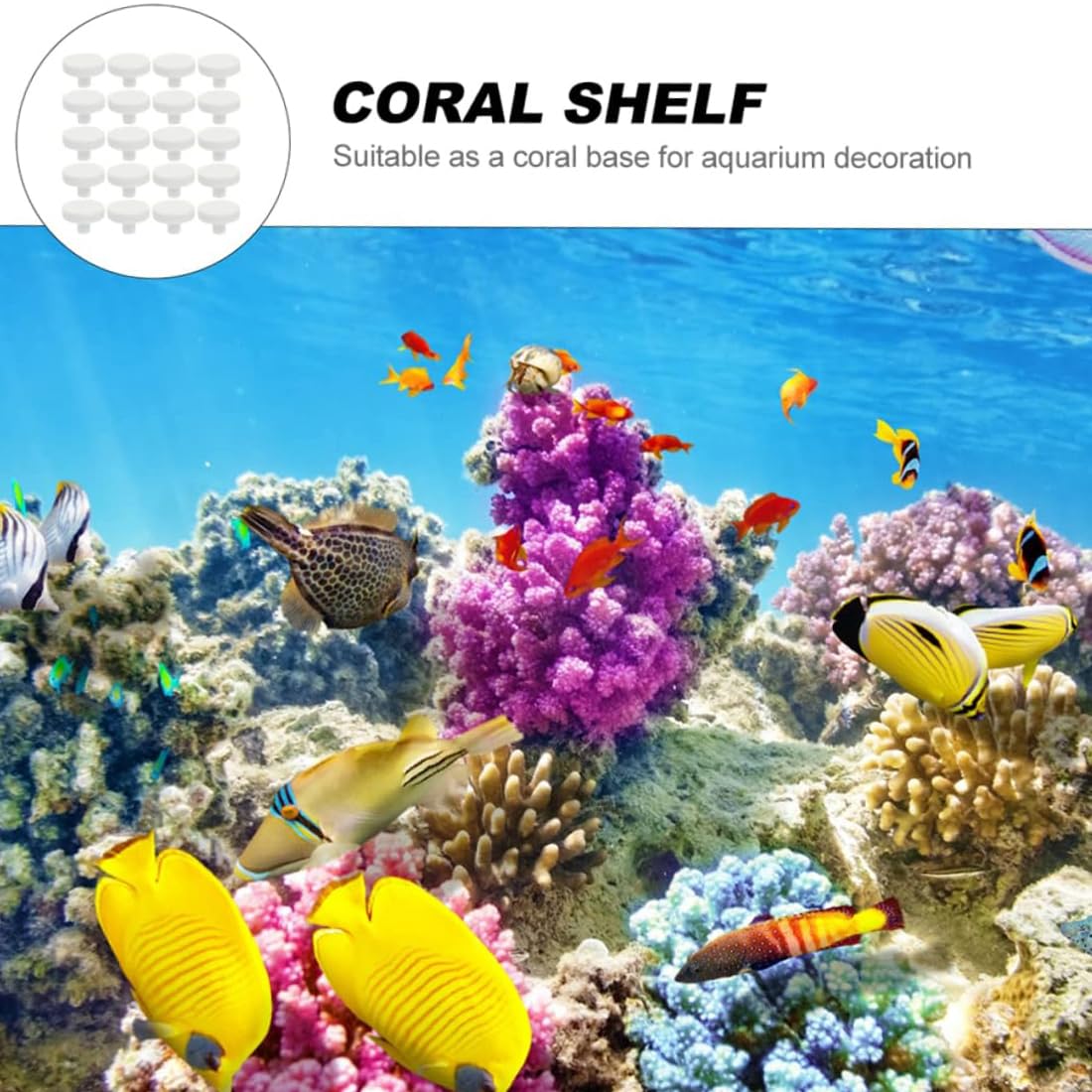 GGUFAY 10 Pièces Corail Frag Plug Céramique Frag Station Aquarium Corail Récif Base Support Corail Frag Stand Approvisionnements De Réservoir De Poissons 2. 3Cm