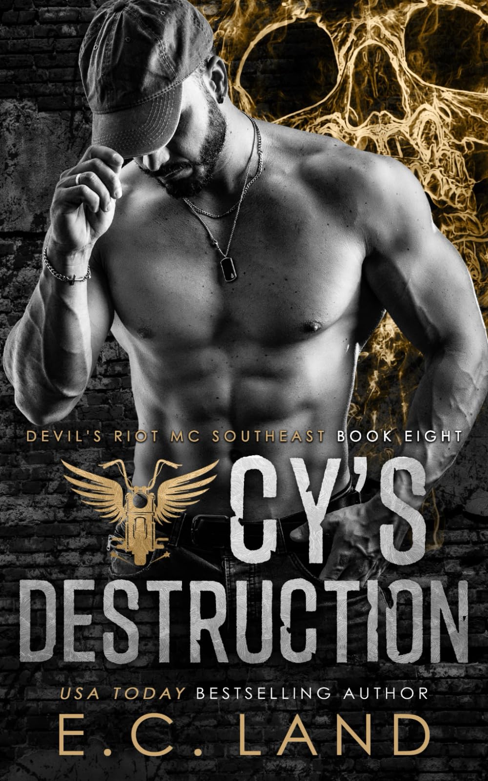 Cy's Destruction (Devil's Riot MC Southeast)