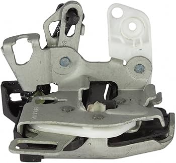 エル 71Fp5bdajTL._AC_UF350,