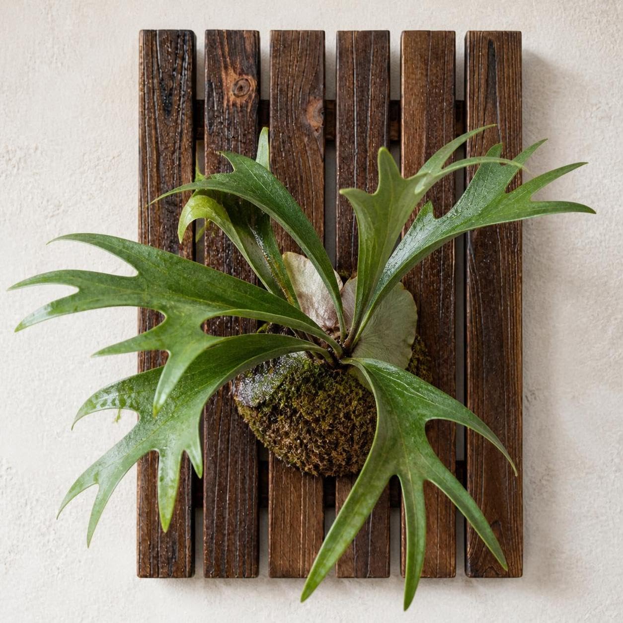Tavola per Piante da Parete in Legno, Materiale in legno, Piattaforma, cucina, Modello a griglia, senza piante, 39 * 48 cm