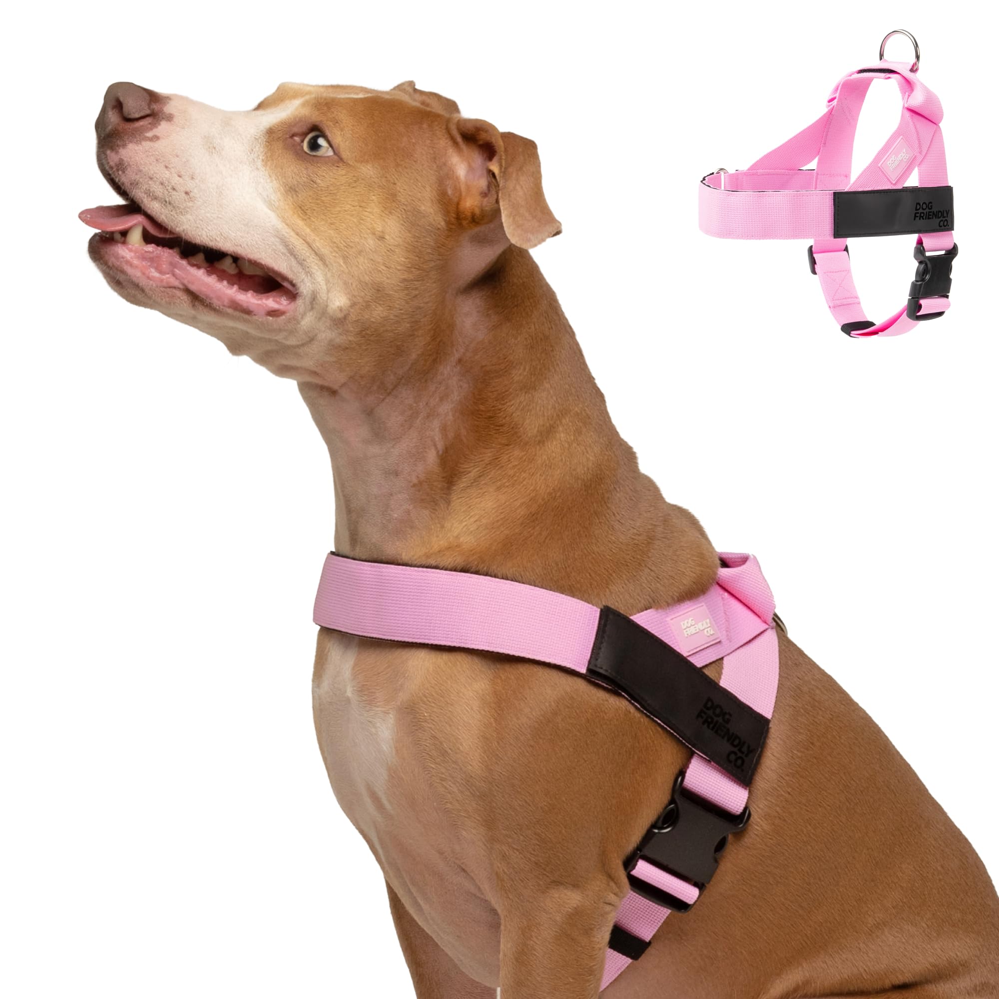 Dog Friendly Co. Dog Harness