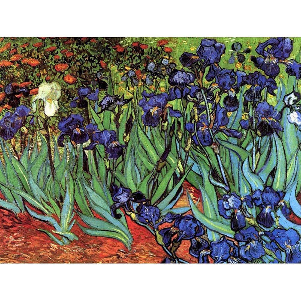 Wee Blue Coo Vincent Van Gogh Irises Old Master Painting Art Print Poster Wall Decor 12X16 Inch