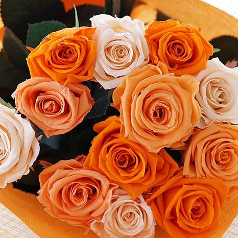 Amazon 花 まりか プリザーブドフラワー 花束 プロポーズ ダーズンローズ 12本 バラ オレンジ プリザーブドフラワー オンライン通販