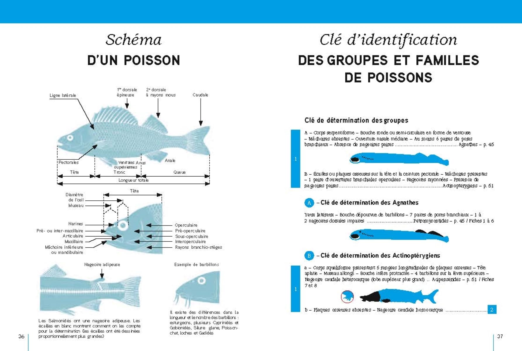 Poissons d'eau douce: d'Europe occidentale tempérée et de Scandinavie