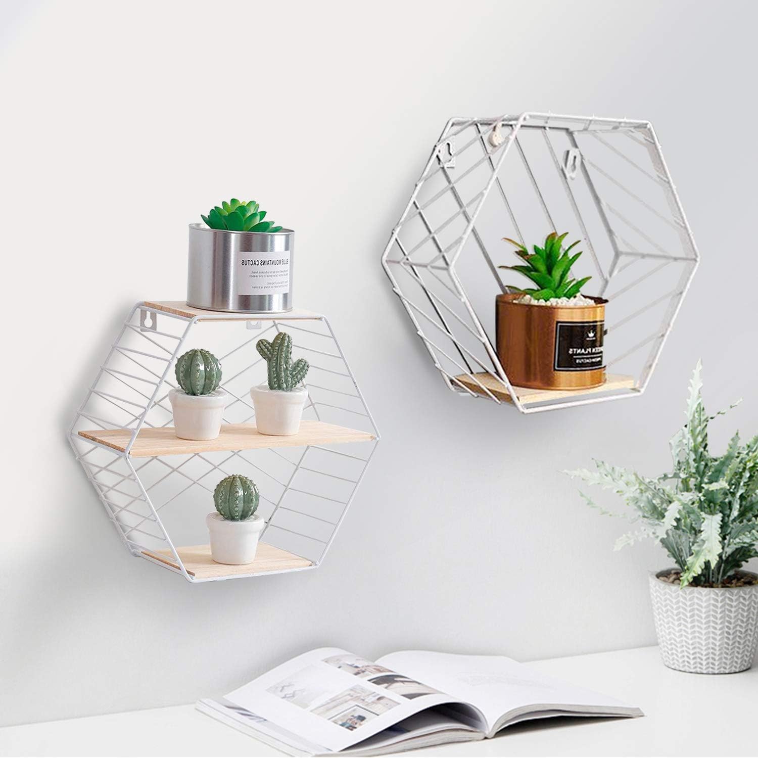 Set of 2 Shelves Wall Mounted Metal Wire and Wooden Storage Shelves Decorative Floating Shelves Display Racks Bookshelf Record Holder Flower Plant Pot Shelf Rack Modern Office Home Display (White)