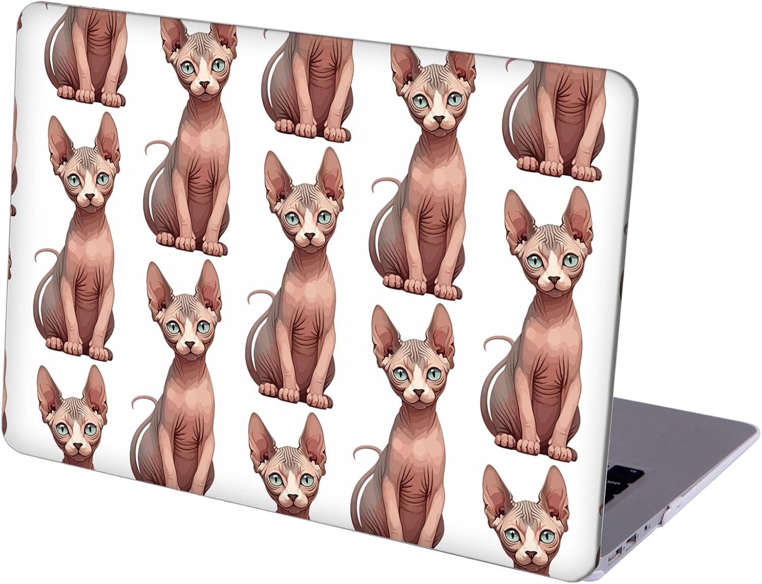 Compatible with MacBook Neo 13-inch, Hard Shell Case with Keyboard Cover and Screen Protector (A3404 A18 Pro chip, 2026 Release) - Sphinx Cat MD8569