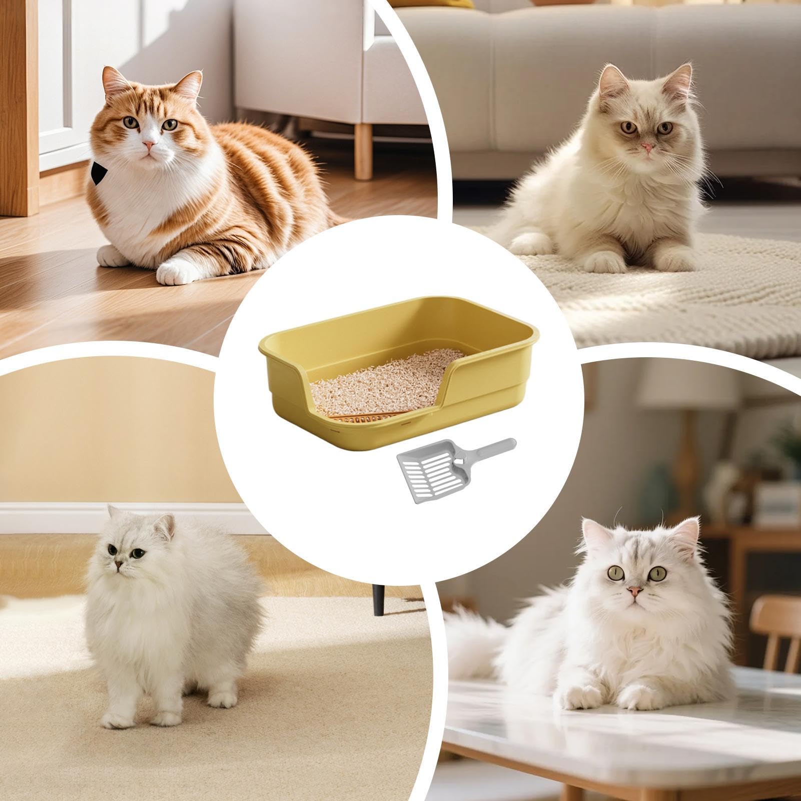 Große Katzentoilette Hohe Seiten Niedriger Einstieg