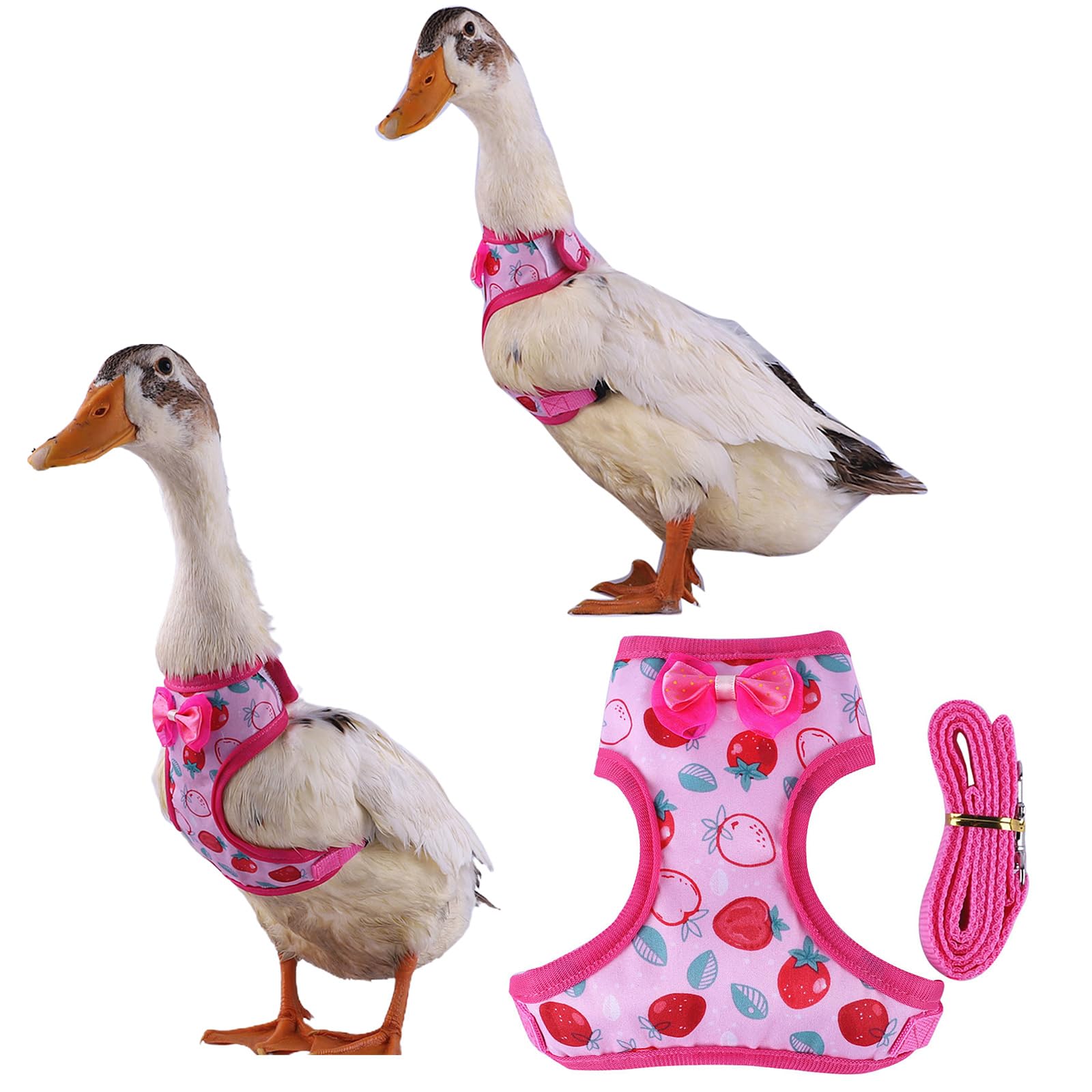 Harness Leash for Pet Vest Walkng Easy Control Supplies Pet Harness for Duck Accessories