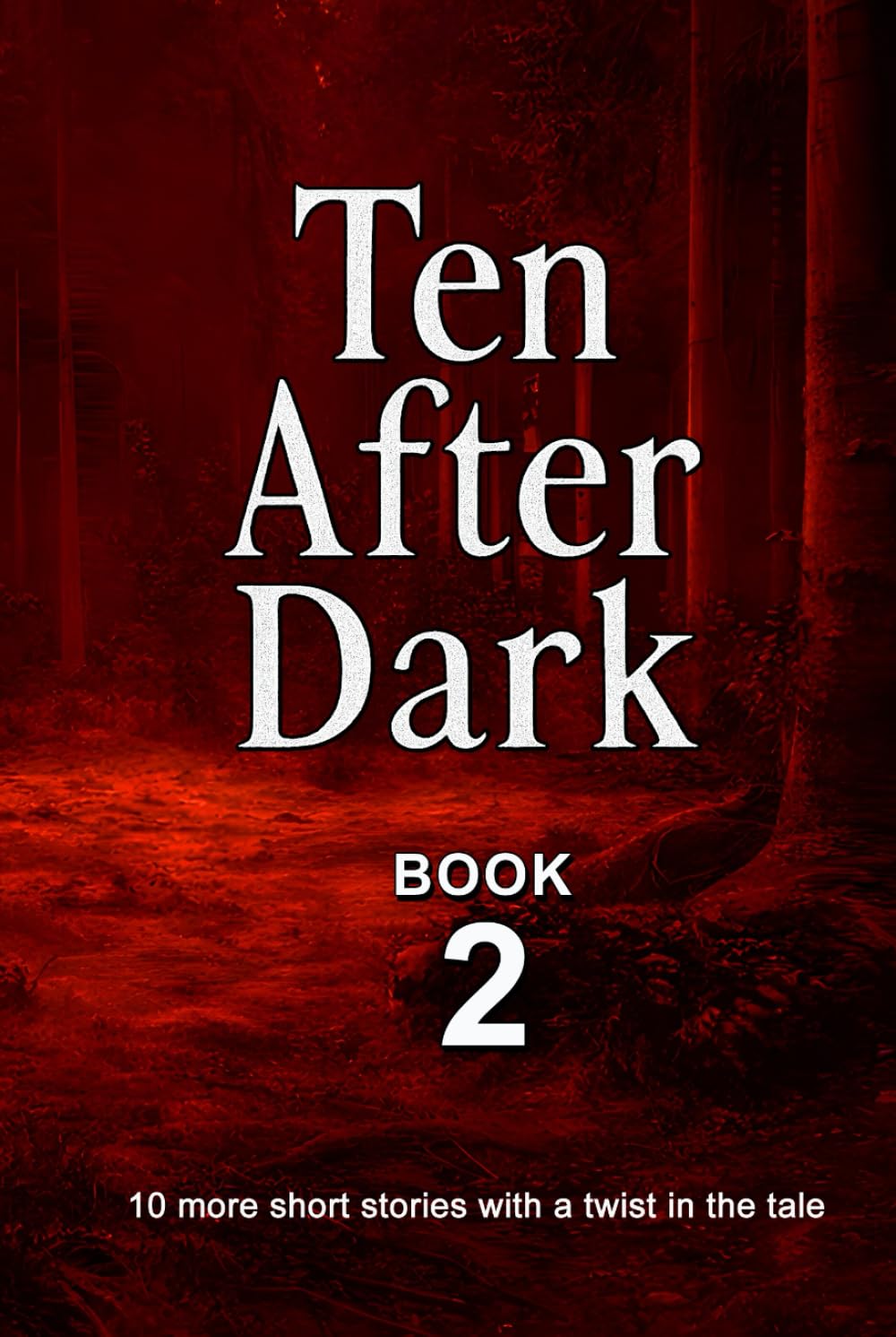 Ten After Dark: Book 2: 10 more short stories with a twist in the tale