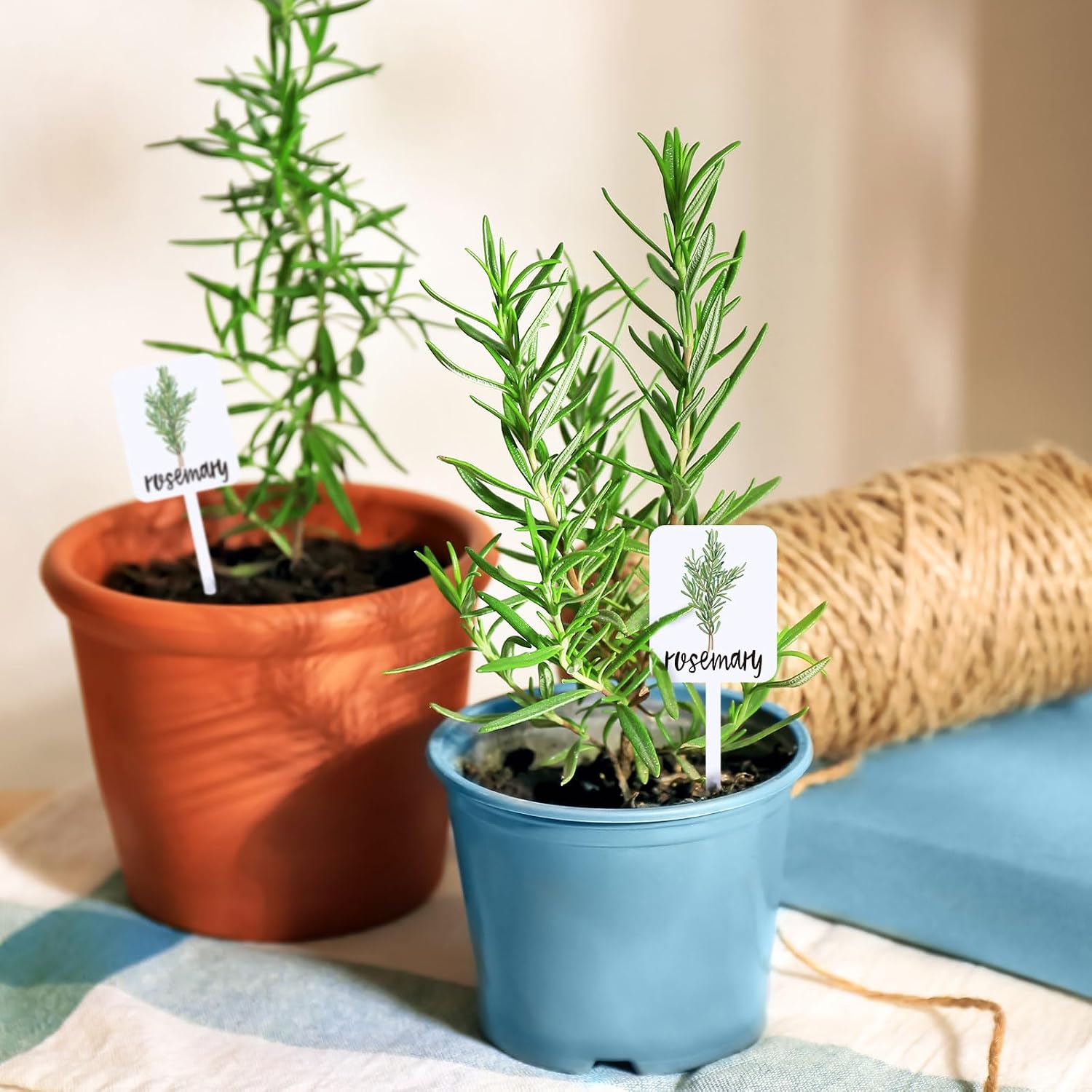 Whaline 24Pcs Acrylic Plant Label Signs 12 Styles Planted Herb Garden Markers Waterproof Plant Stake Tags with Herb Names for Nursery Indoor Outdoor Garden Decoration