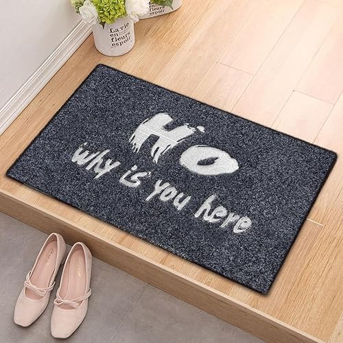 Miniatura 2 de Tapete divertido para puerta, Ho Why is You Here, divertido tapete de bienvenida bordado para suelo, tapete de entrada al aire libre con respaldo de
