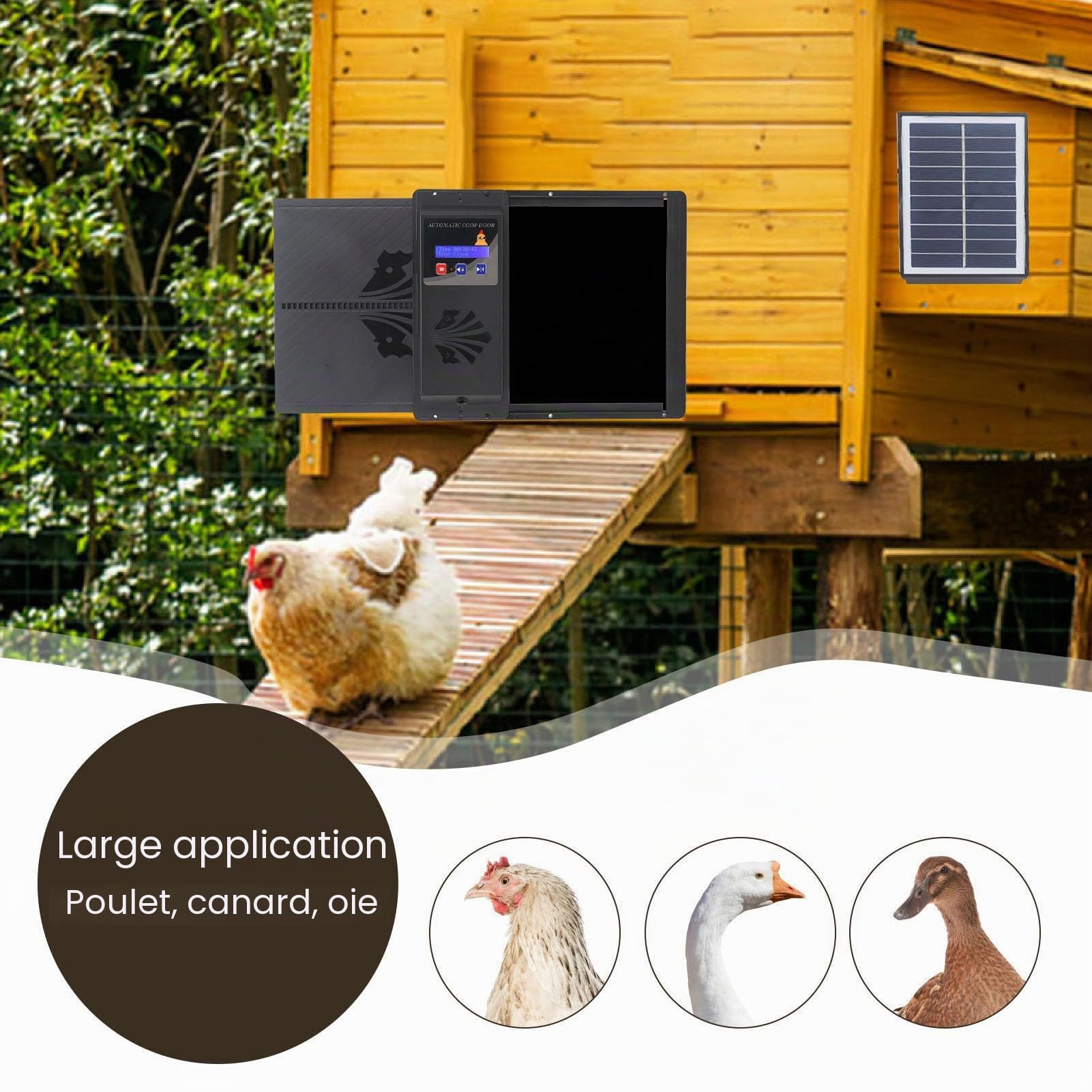 Porte Automatique USB pour Poulailler avec Minuterie LED, Programmable, Noir, pour Sécurité des Poulets et Canards