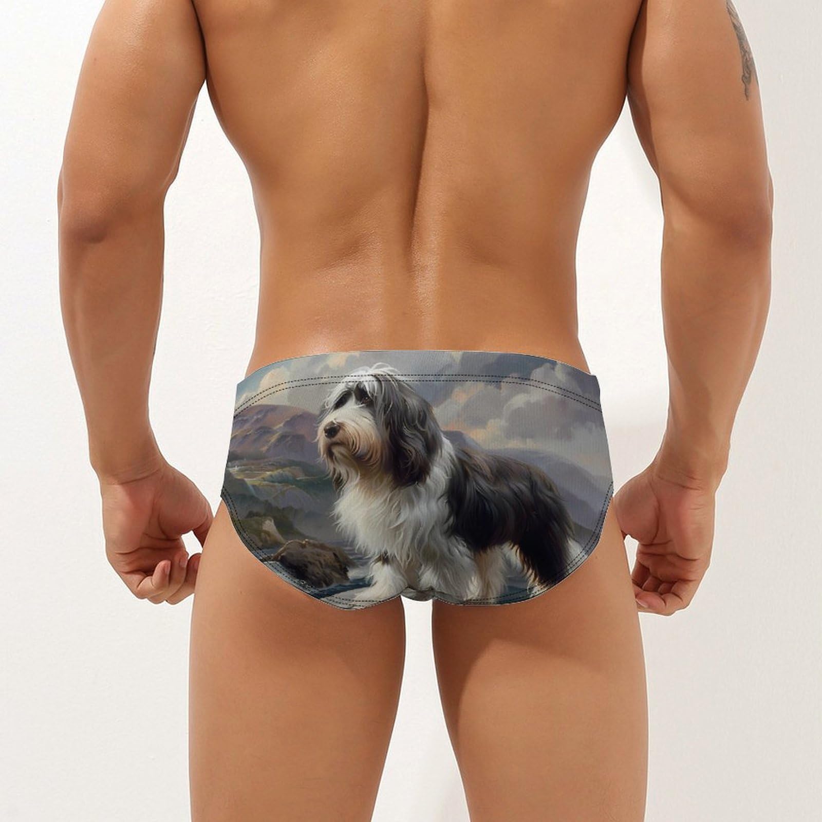 Bearded Collie Mens Swim Briefs Quick Dry Swim Trunk Bikini Underwear Swimsuit M