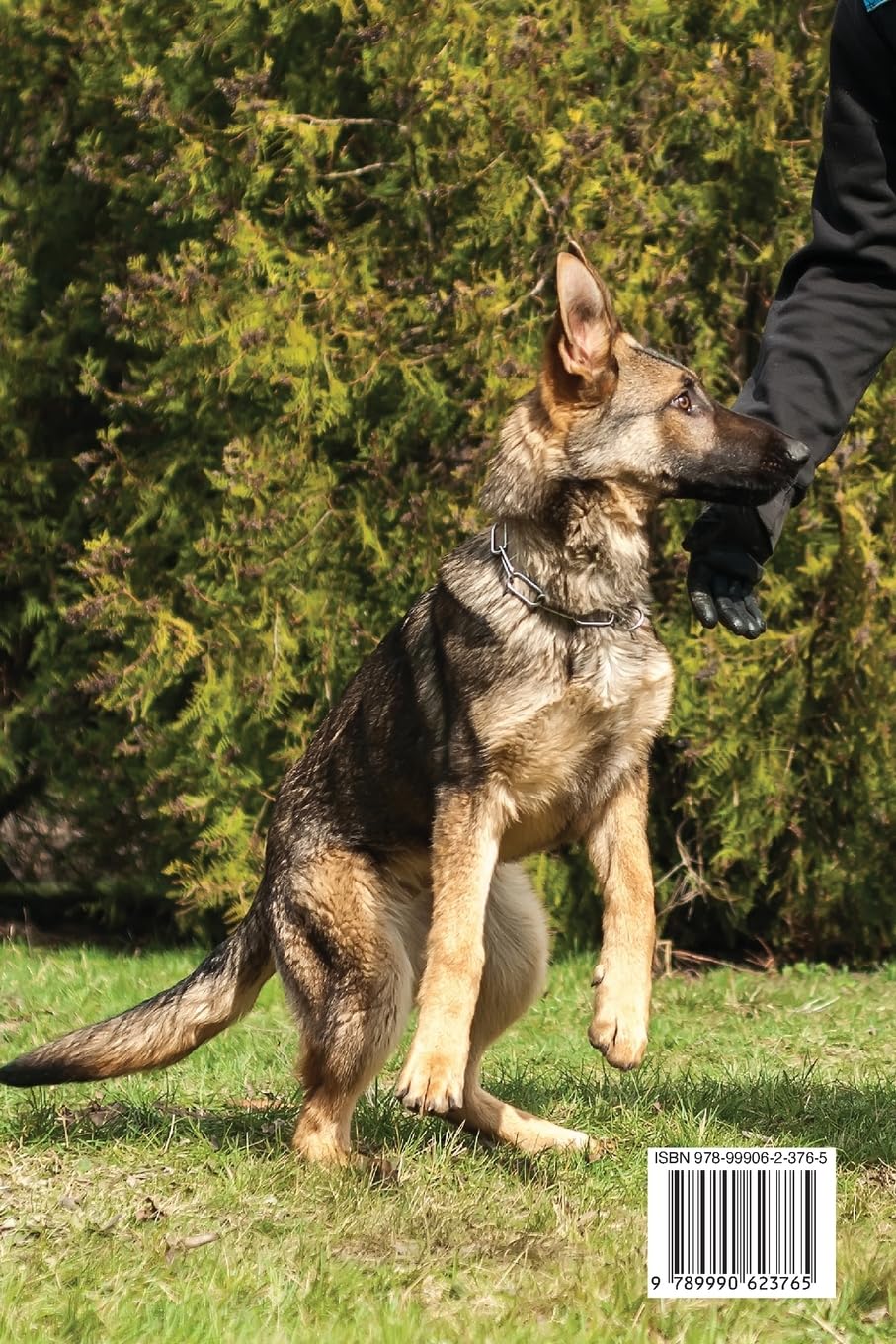Puppy Training: Effective Strategies To Housebreak Your Puppies In Less Than 2 Weeks