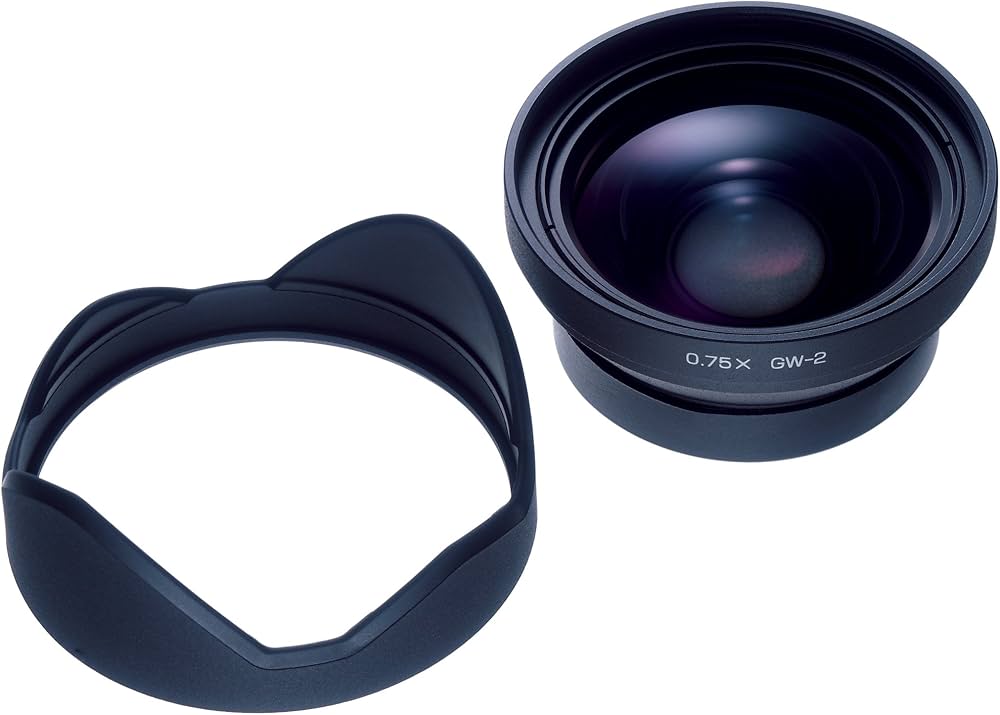 RICOH GR DIGITAL III + GW2レンズ Buy Ricoh GW-2 Wide Conversion Lens for GR Digital III Online at