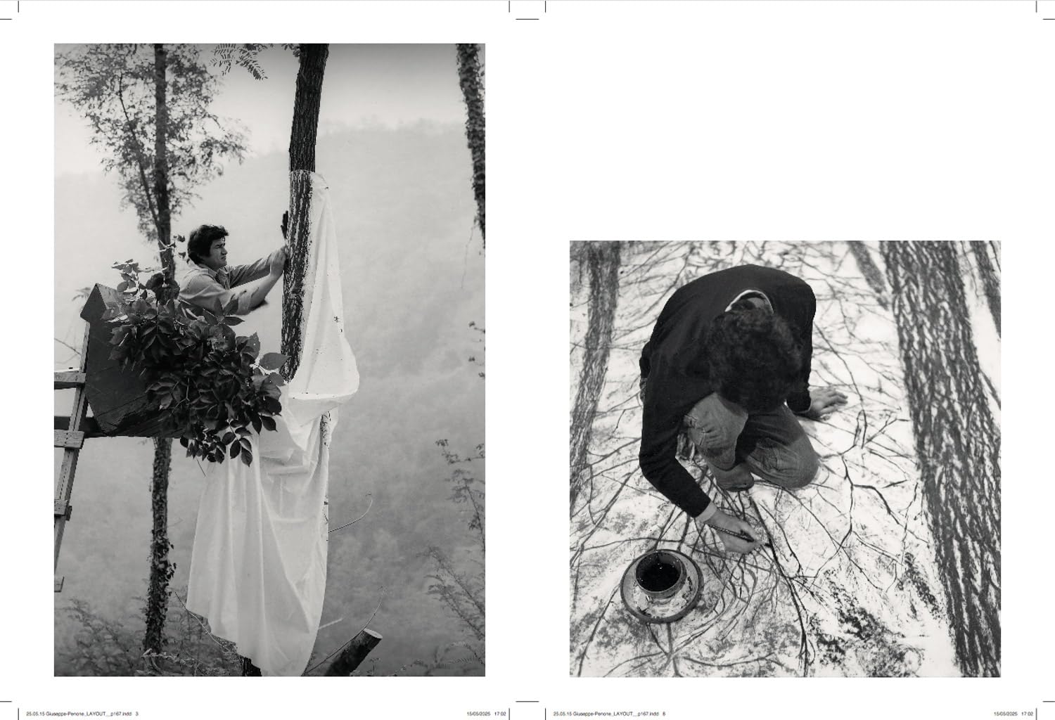 Giuseppe Penone Thoughts in the Roots /anglais: Serpentine Gallery, London