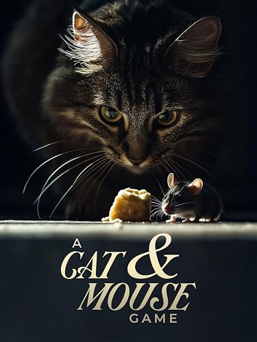 A Cat and Mouse Game
