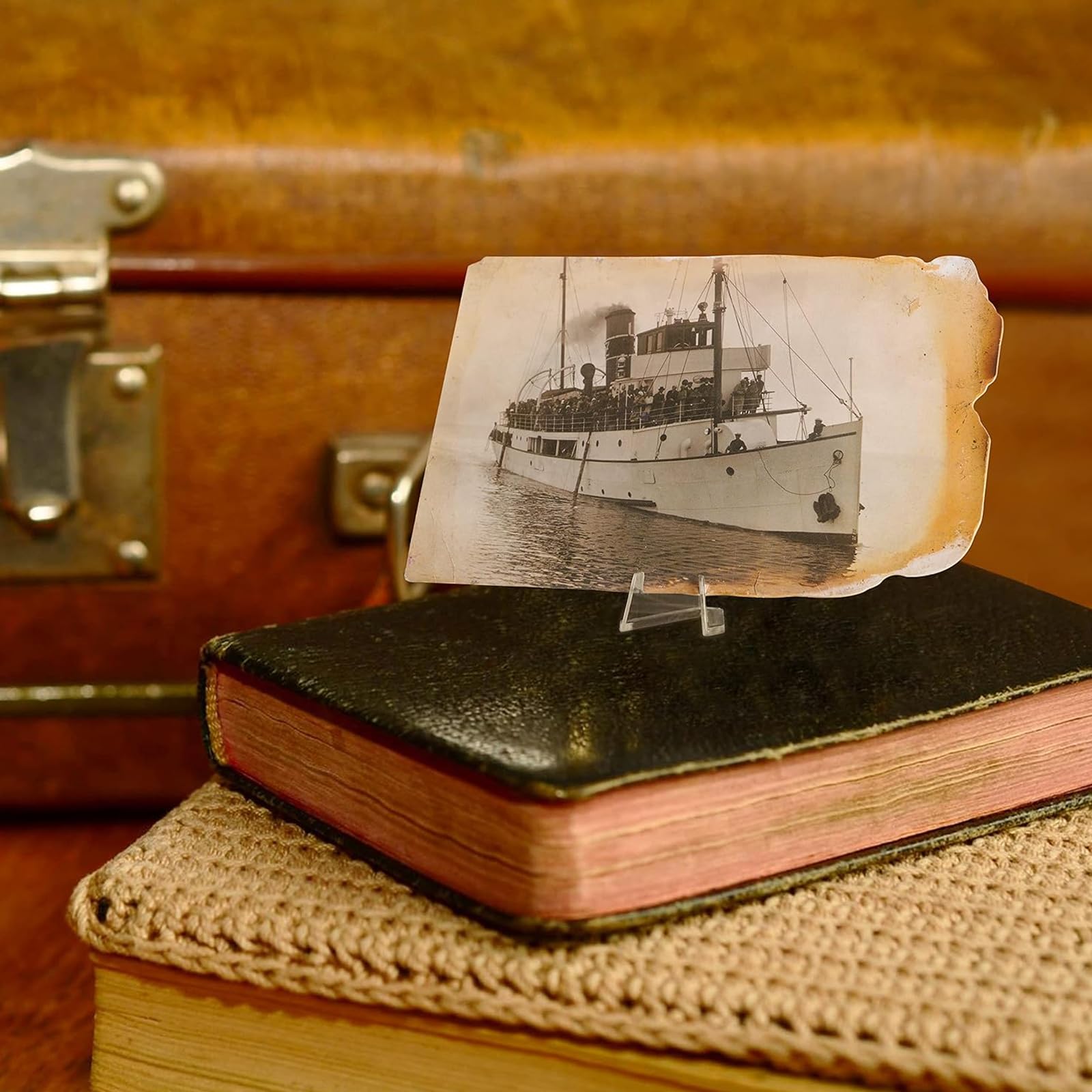 WATERBELINE Münzständer Acryl - 8-teilige Staffeleien Für Sammlerstücke