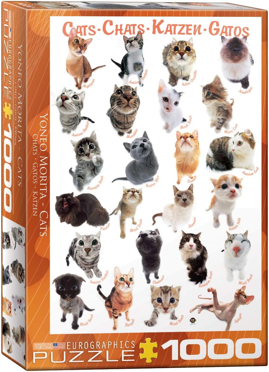 cat breed puzzle