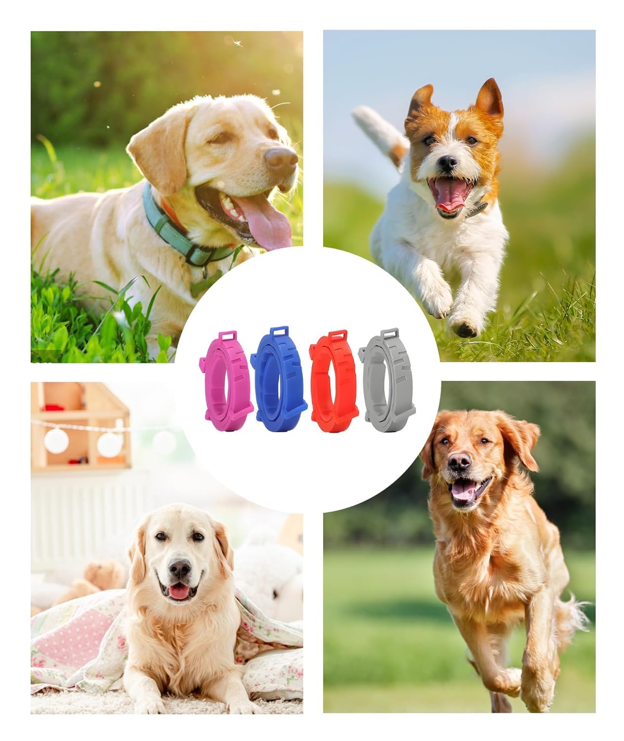 Dog Flea & Tick Collar for Dogs Adjustable Collar with Flea and Tick Protection, Durable Waterproof for Daily Pet Care Outdoor Dog Puppy Kitten Cats Safe Efficiently Repell Locust Lice of Pets 4