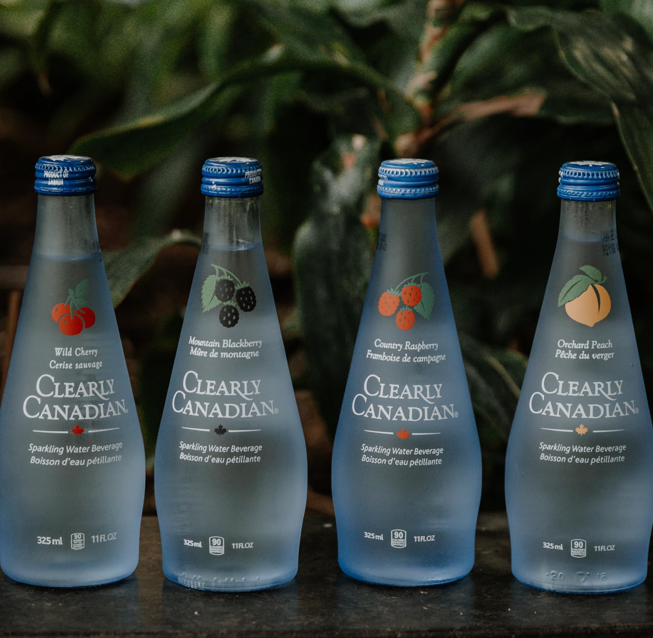 Clearly Canadian Sparkling Flavored Water, 11 oz Glass Bottles – Variety of Refreshing Flavors, Premium Carbonated Beverage, Available in 12-Pack and 24-Pack Options (12 Pack, 12 Pack Variety)