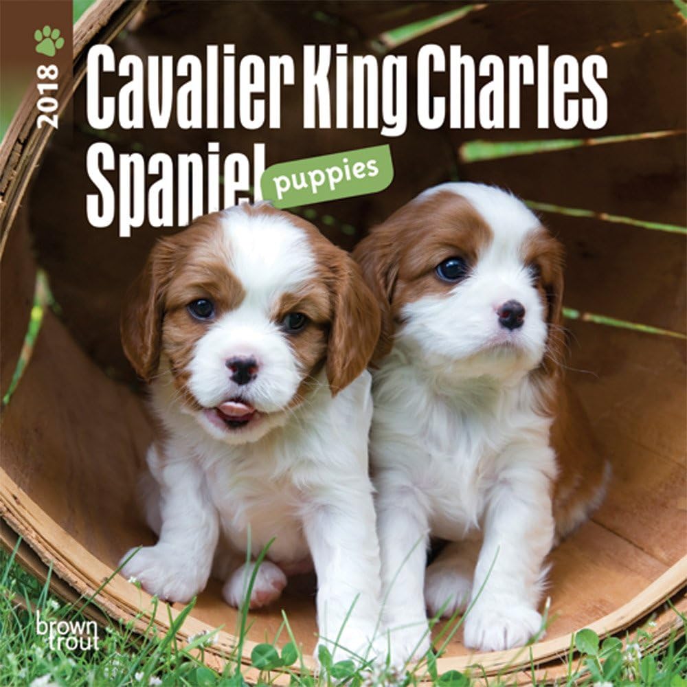 Cavalier King Charles Spaniel Puppies 2018 Calendar Calendar