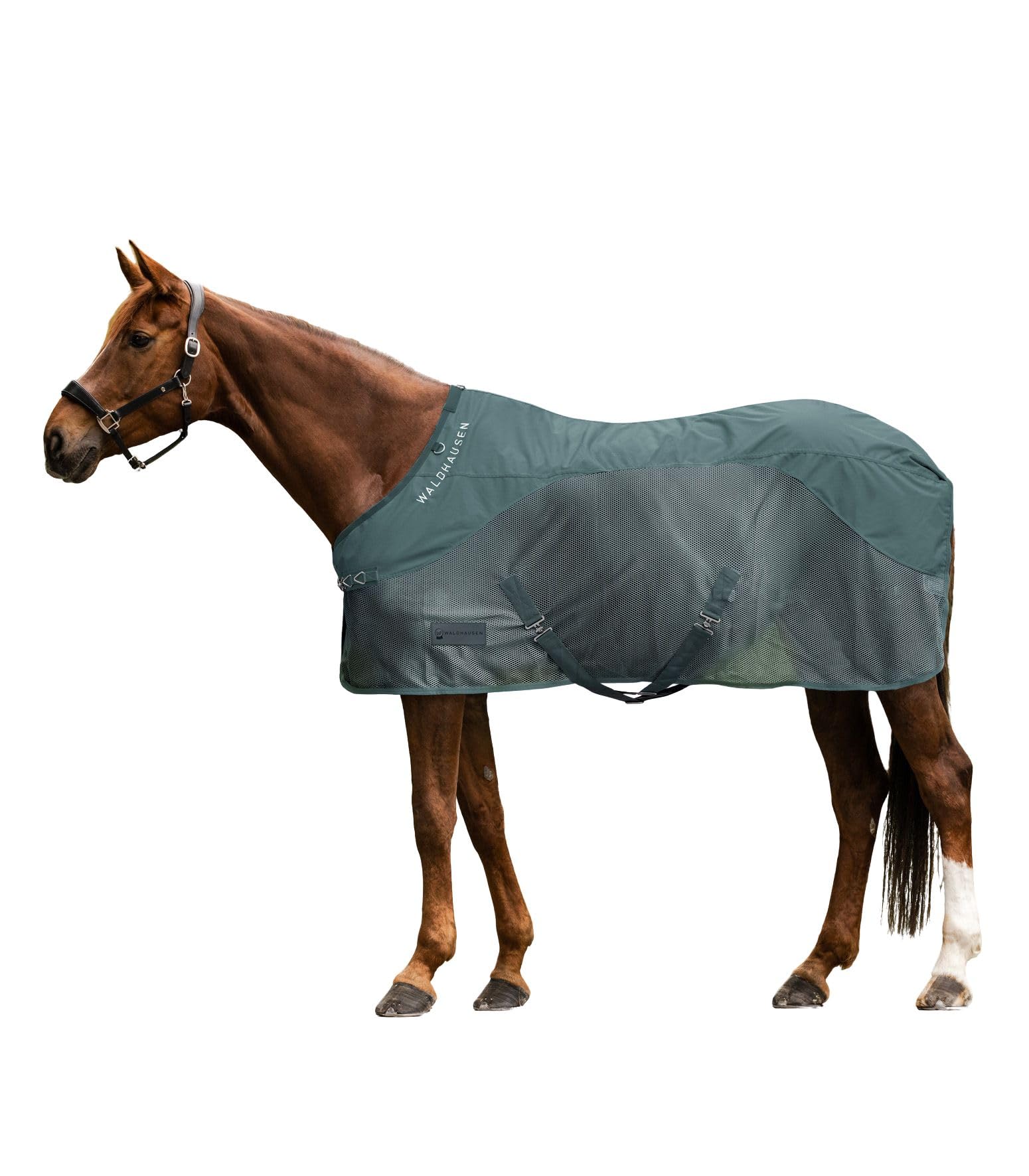 Waldhausen Manta antimoscas para lluvia, 125 cm, color verde pino