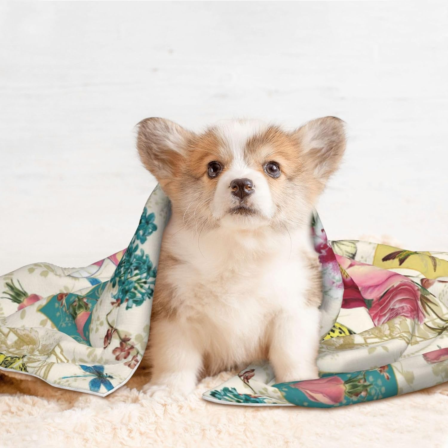 review Bird Butterfly Rose Waterproof Dog Blanket - Soft Plush Throw Protects Bed, Couch, Or Car from Spills,Scratching, Or Pet Fur - Small
