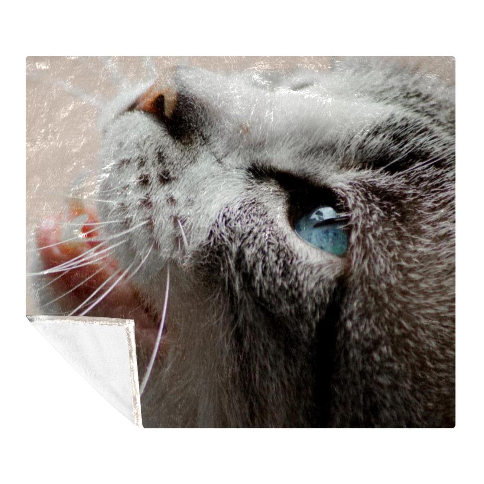 Couverture polaire de literie chat pour cocooning sur le canapé du salon