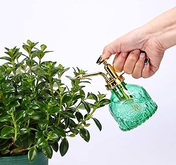 Aebor Vaporisateur En Verre Pour Plantes - 19 Cm - Vert - Avec Pompe Supérieure Dorée - Petit Arrosoir - Pour Intérieur Et Extérieur - Vert Doré