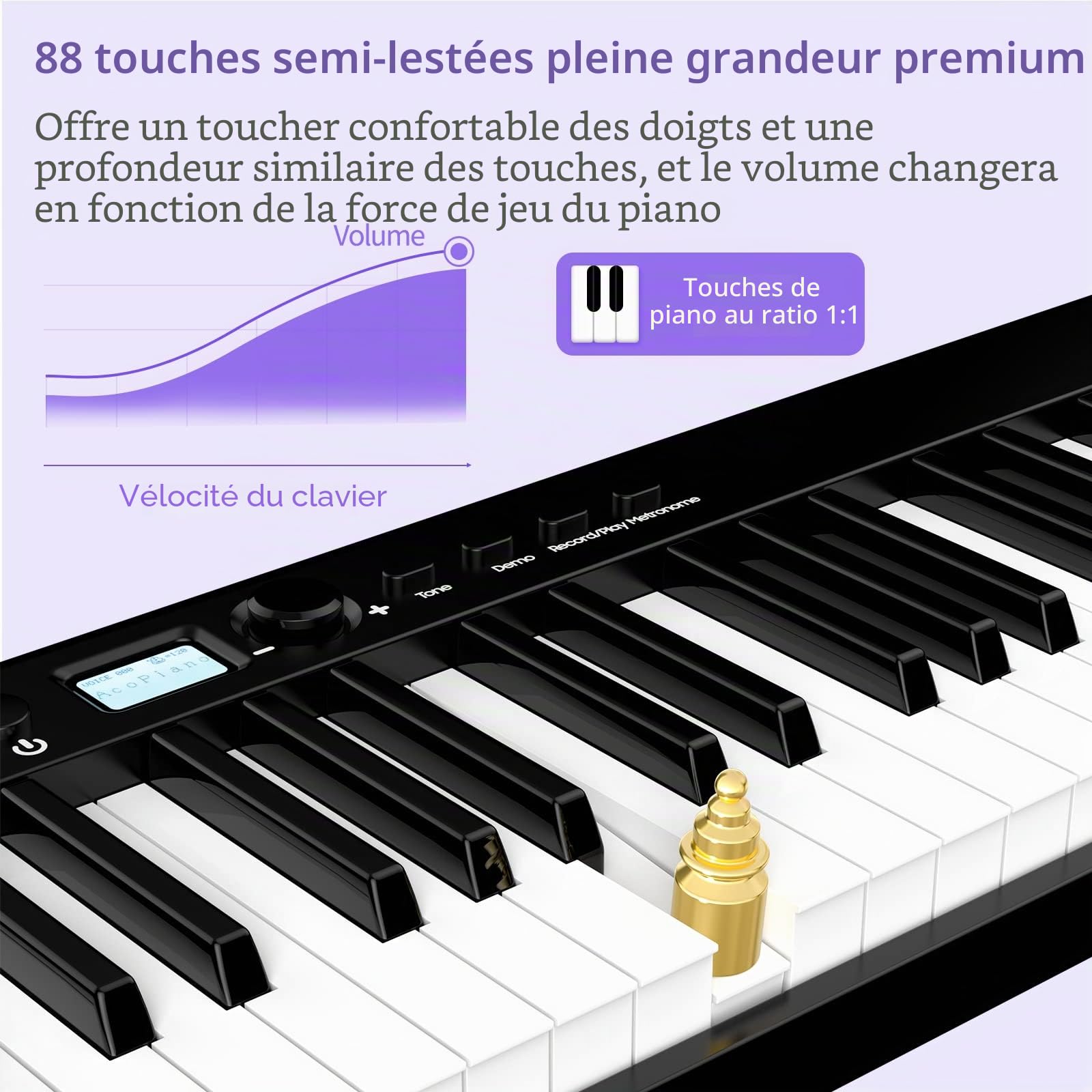 TERENCE Pliable Piano Numérique avec 88 Touches semi-lestées et Batterie de 1800mAh et interface USB MIDI avec support de partitions Bluetooth Sacs pour Clavier Câble audio Casque Pédale de sustain