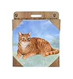 E&S Imports Ceramic Coaster - Orange Tabby Cat (1)