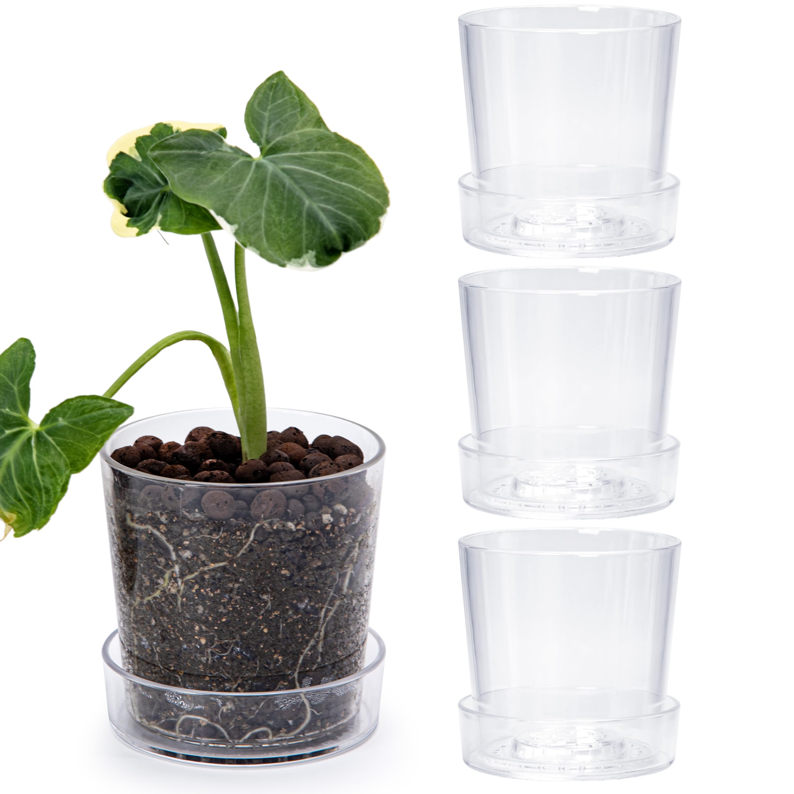 Phoenix Vine 4.5 Inch Clear Acrylic Planter Pot