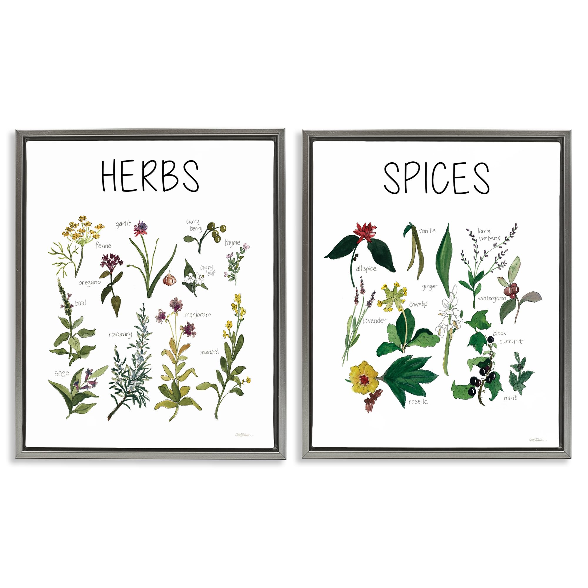 Stupell Industries Luster Gray (Matte) 'Culinary Herbs & Spices', 2Pc Floating Frame Art Set 2, Gray, 25 X 31 Inches, Easy To Hang And Sturdy, Made In Usa, By Carol Robinson