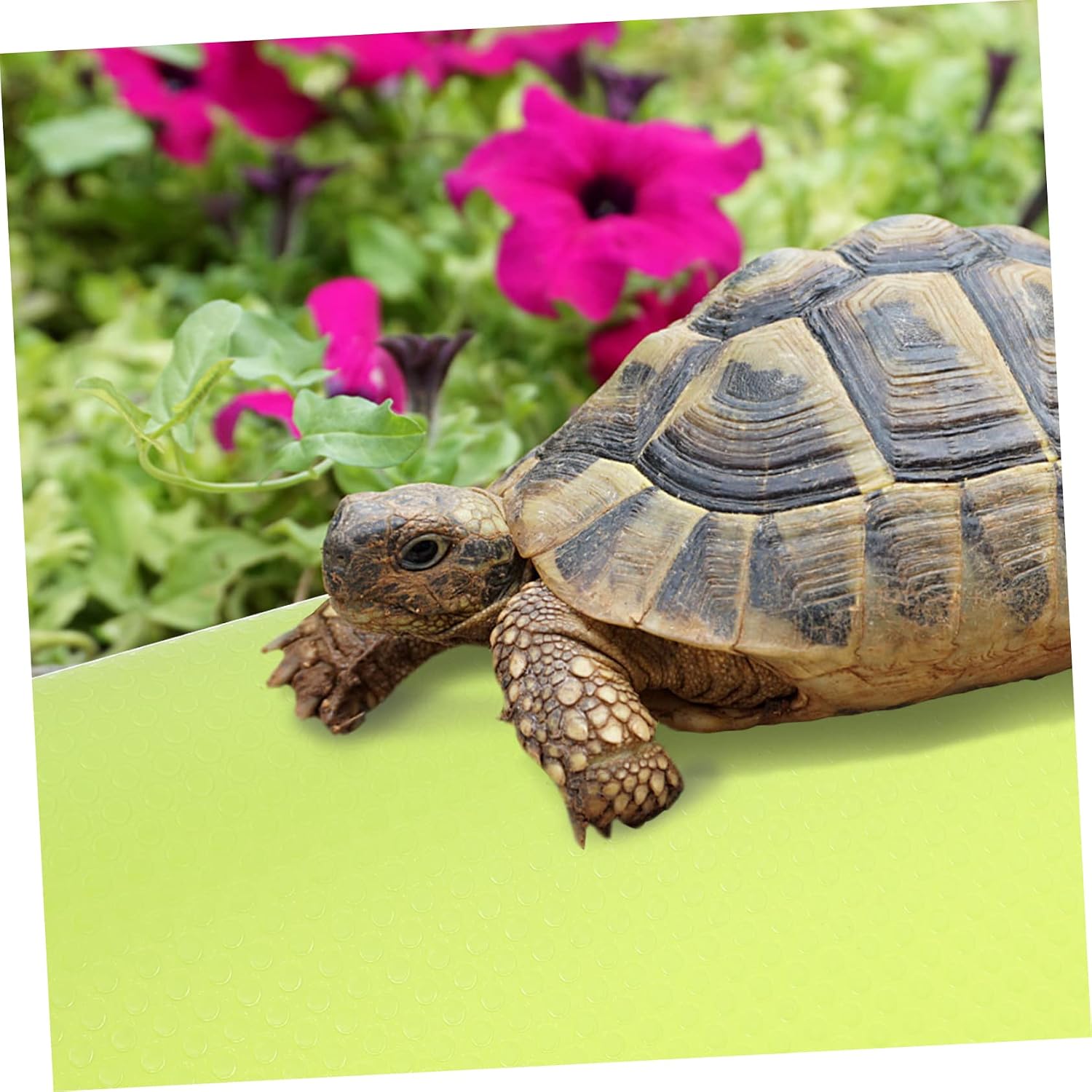 Reptile Carpet Mat for Terrarium Bedding Suitable for Lizards Snakes Tortoises and Geckos Easy to Clean Reptile Tank Accessory