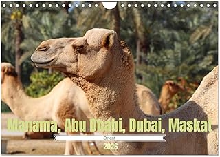 Orient - Manama, Abu Dhabi, Dubai, Maskat, US-Version (Wall Calendar 2026 DIN A4 Landscape), CALVENDO 12 Month Wall Calendar