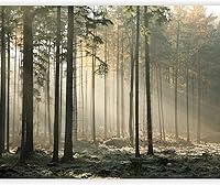 Vista 27 de artgeist Mural de Pared Forestal 154x122 pulg - Adhesivo de Pared Autoadhesivo para Despegar y Pegar, Adhesivo de Pared, Adhesivo de Foto