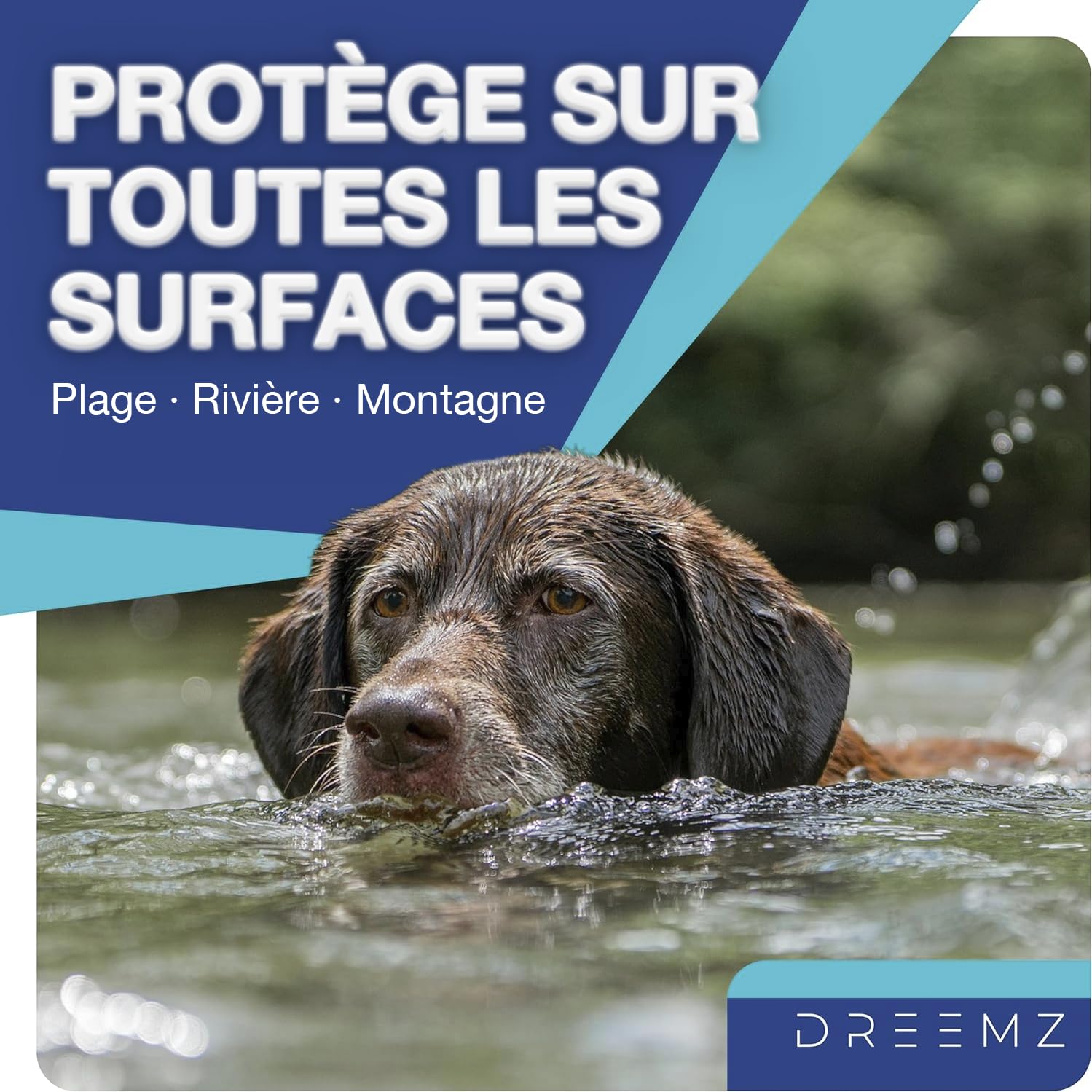 DREEMZ® Collier Anti Puces pour Chien - Collier Anti Puce Chien - Anti Tiques Haute Qualité - 8 Mois de Protection - 63cm Réglable Toutes Tailles - 100% Naturel - Imperméable déperlant (1 unité)