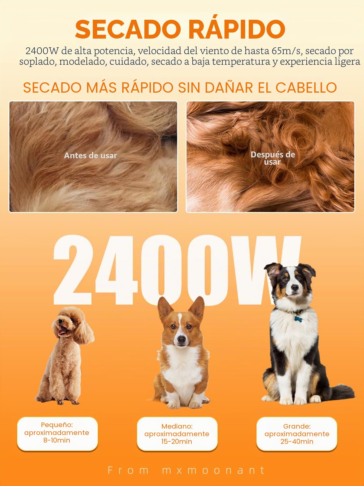 Mxmoonant Set 3-en-1 cuidado pelaje perro: aspiradora, secador, cortapelo | velocidad y temperatura regulables, 7 accesorios, bolsa y toalla incluidas