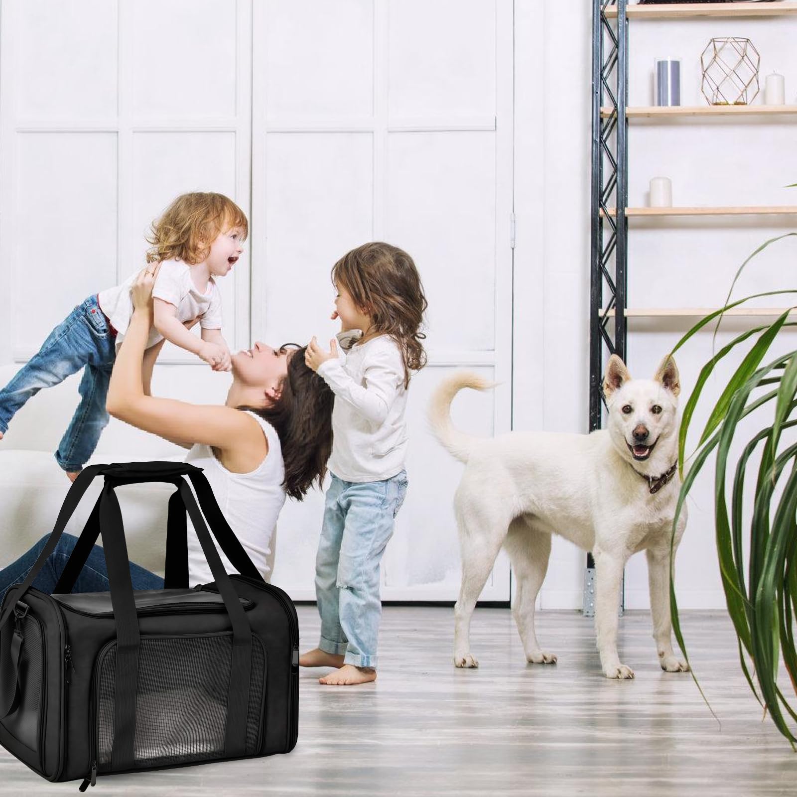 40 x 25 x 25 cm. Caja de transporte para perros: bolsa de viaje plegable para cachorros, caja de transporte de perros suave con correa interior, con malla transpirable para accesorios de viaje