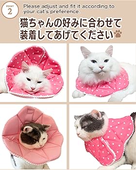 Amazon | エリザベスカラー 猫 犬 ソフト ［愛玩動物飼養管理士