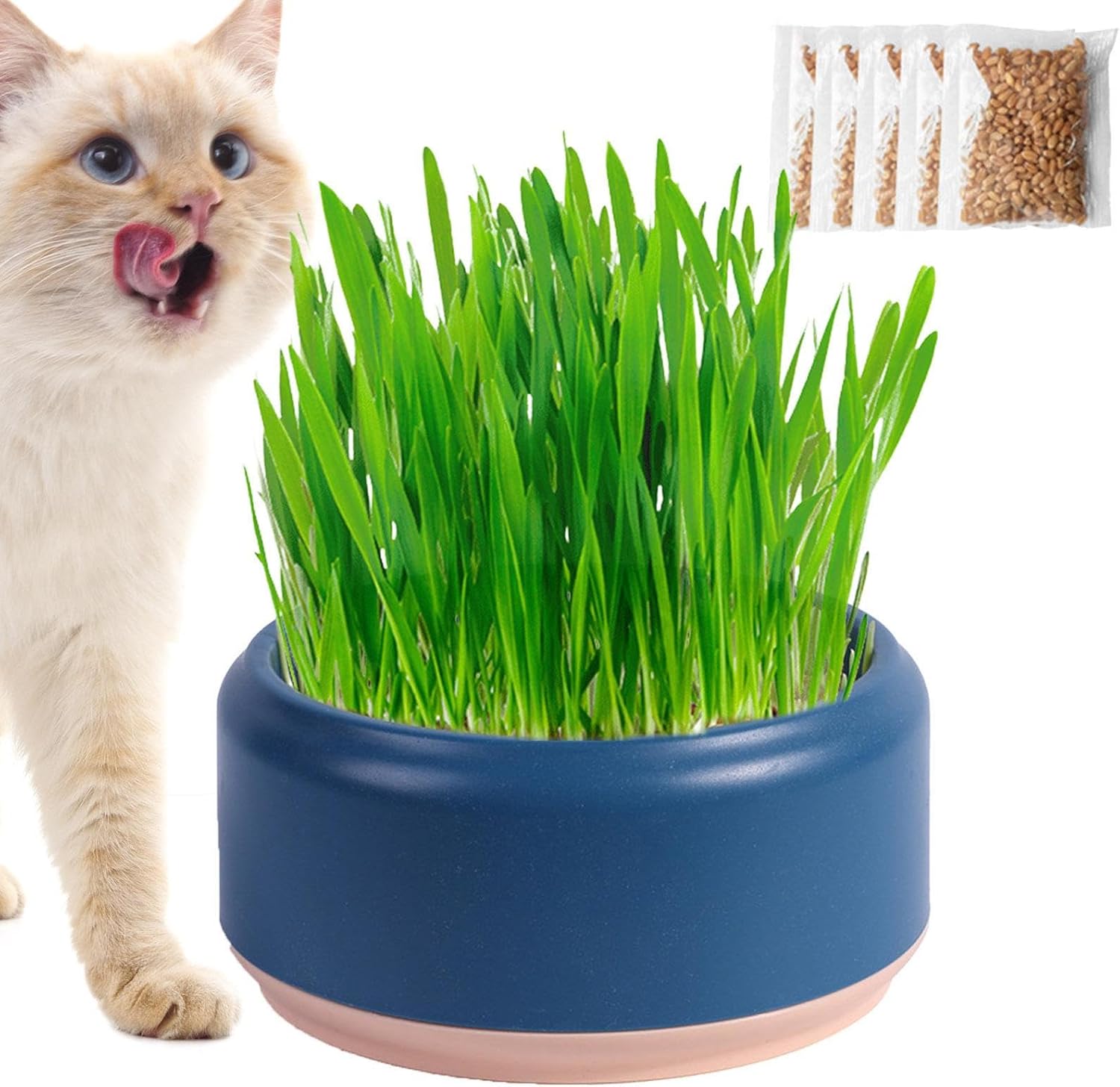 Hydroponic Cat Grass Planter Soilless Culture Cat Grass