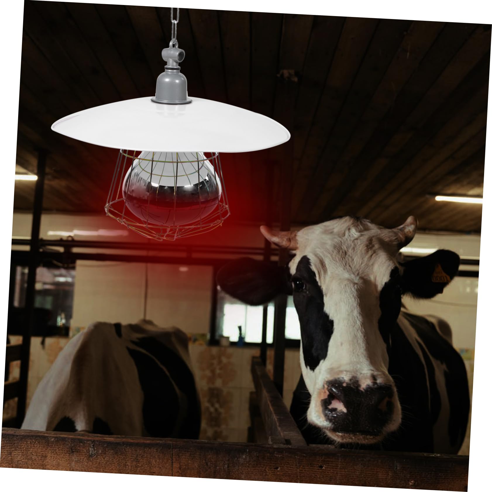 Wärmelampe Anti Verformung und Schutz vor Verbrennungen mit Metall und Aluminiumgehäuse für Nutztiere Zufällige Farbe Geeignet für Haustierkäfige und Kleine Schweineställe