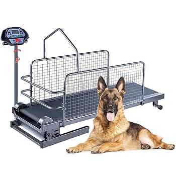 ペットランニングマシーン 617VuicR0cL._UF350,350_QL50_.jpg