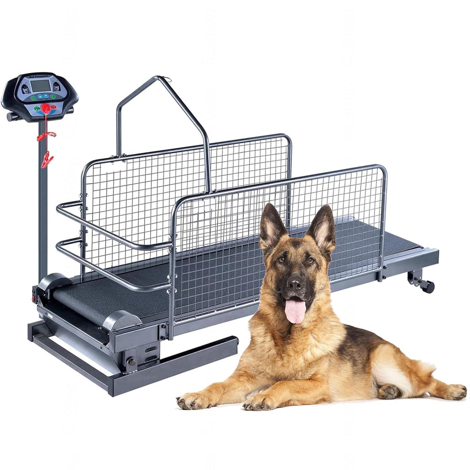 Amazon.co.jp: 大型中型犬用犬用トレッドミル、ペット用犬用ランニング