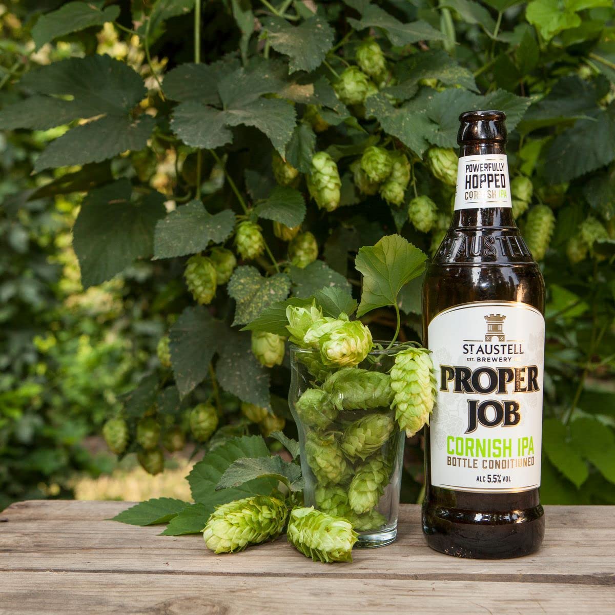 6 x St. Austell Proper Job 0,5l- Cornish IPA aus England mit 5,5% Vol.